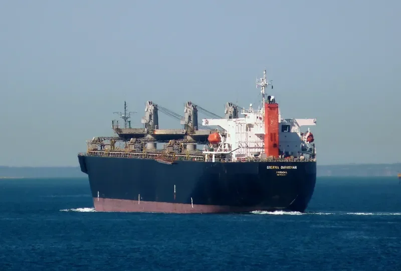 SIERRA GUARDIAN Bulk Carrier IMO 9140346 photo 2