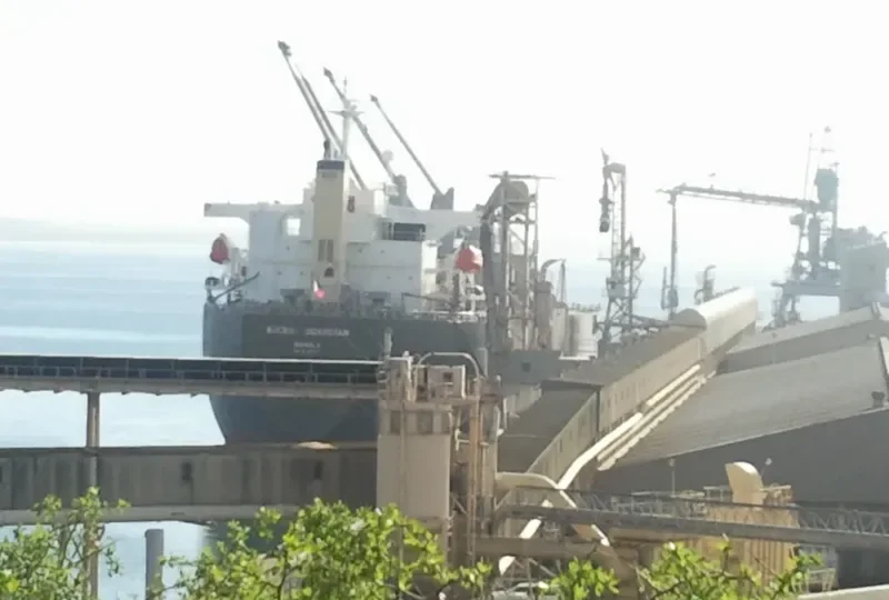 SIERRA GUARDIAN Bulk Carrier IMO 9140346 photo 8