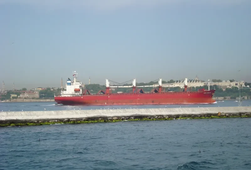 BAOSHAN SUCCESS Bulk Carrier IMO 9140528 photo 3
