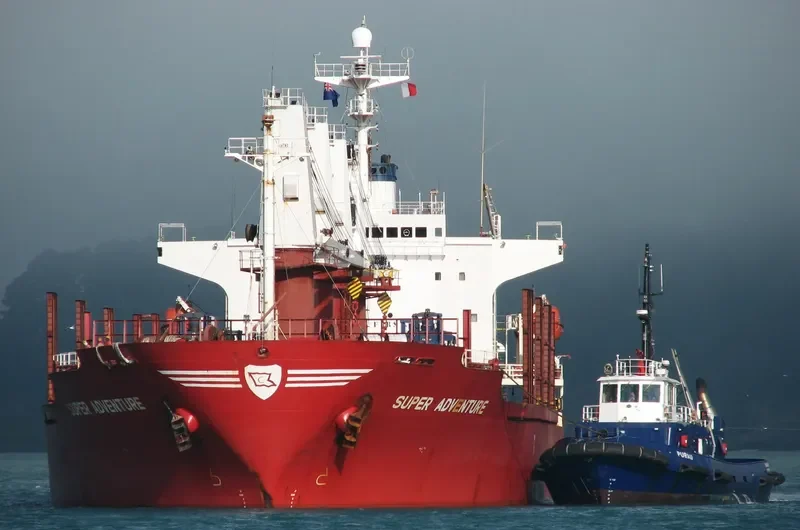 BAOSHAN SUCCESS Bulk Carrier IMO 9140528 photo 6