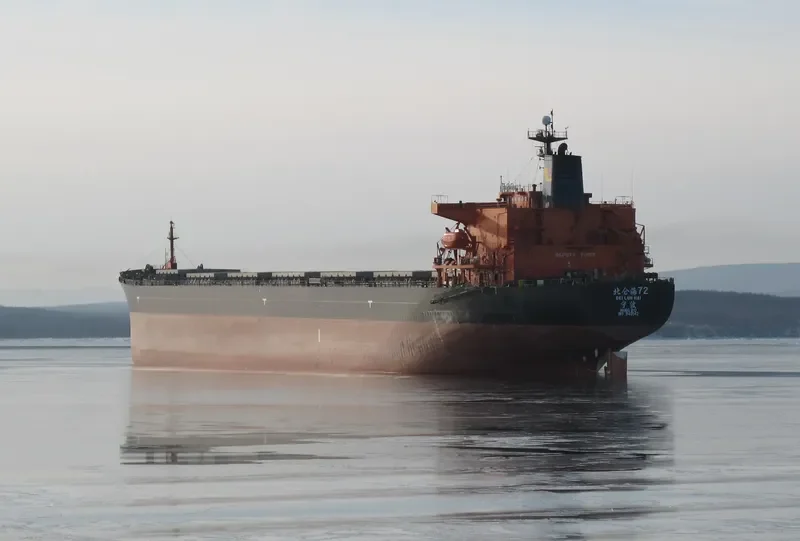 BEI LUN HAI 72 Bulk Carrier IMO 9140542 photo 3