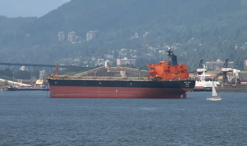 BEI LUN HAI 72 Bulk Carrier IMO 9140542 photo 6