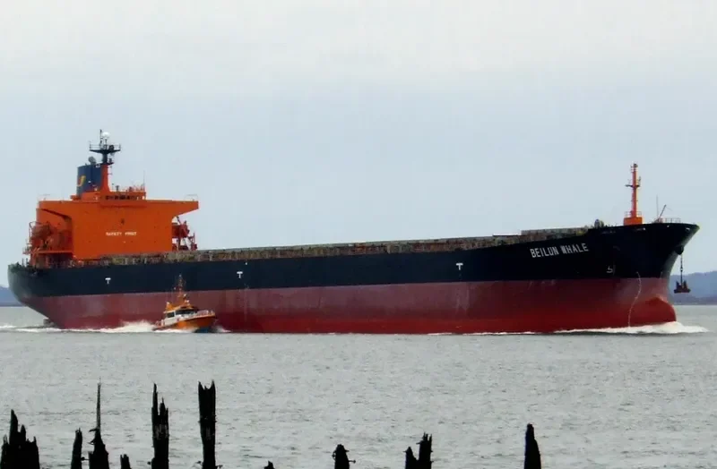 BEI LUN HAI 72 Bulk Carrier IMO 9140542 photo 10