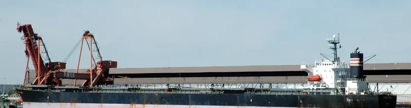 THE MERCIFUL Bulk Carrier IMO 9140578