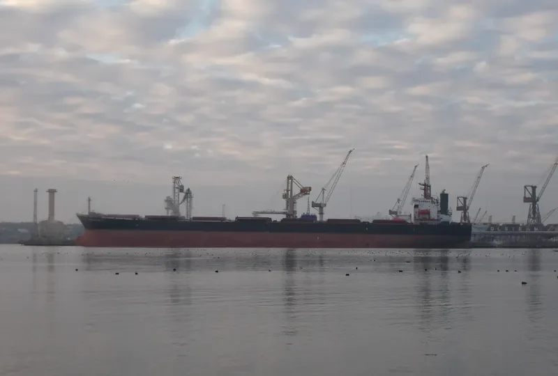 THE MERCIFUL Bulk Carrier IMO 9140578 photo 3