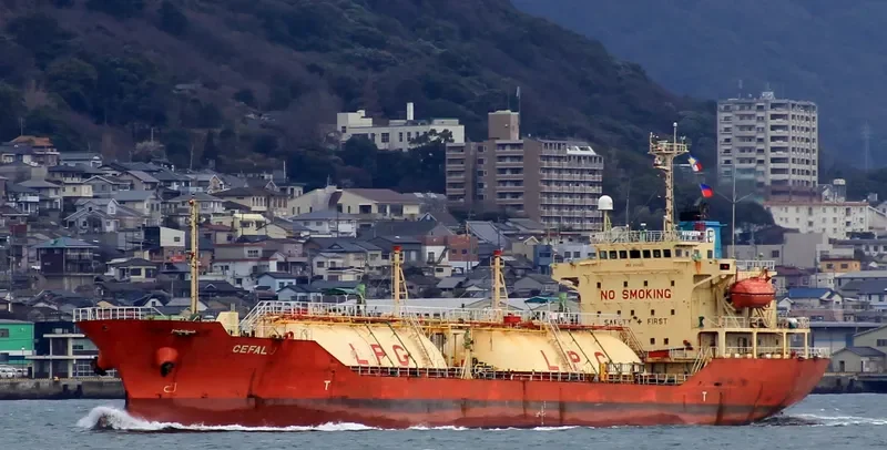 SC DISCOVERY XLVI General Cargo IMO 9140633 photo 4