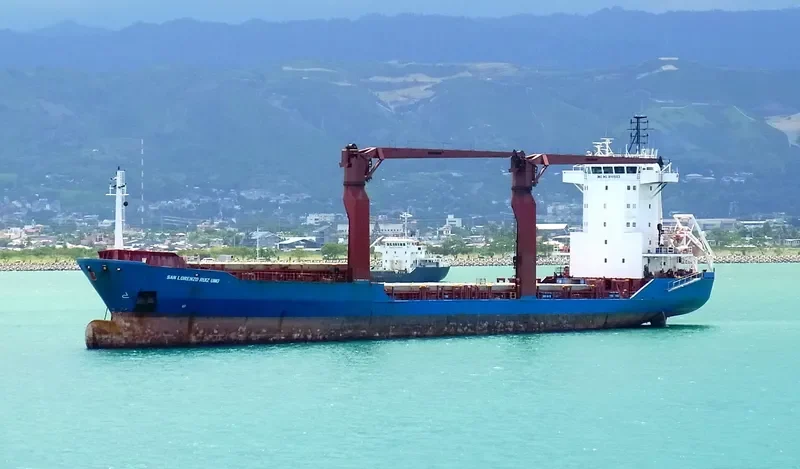 SAN LORENZO RUIZ UNO Container Ship IMO 9141053 photo 6