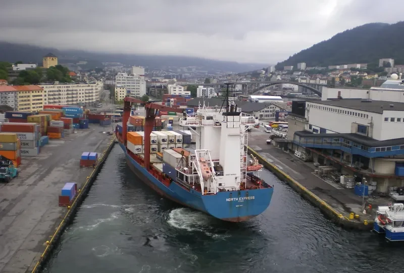 SAN LORENZO RUIZ UNO Container Ship IMO 9141053 photo 9