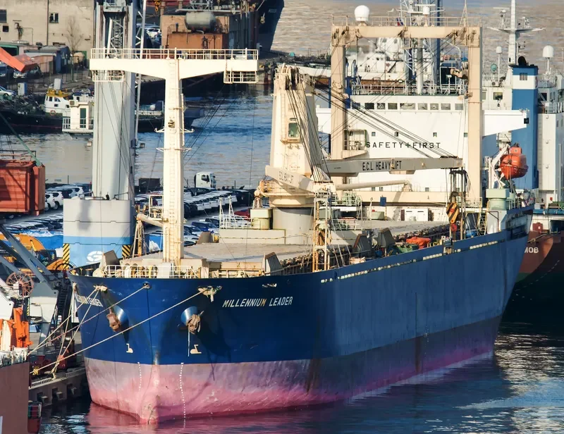 MILLENNIUM LEADER General Cargo IMO 9141211 photo 8