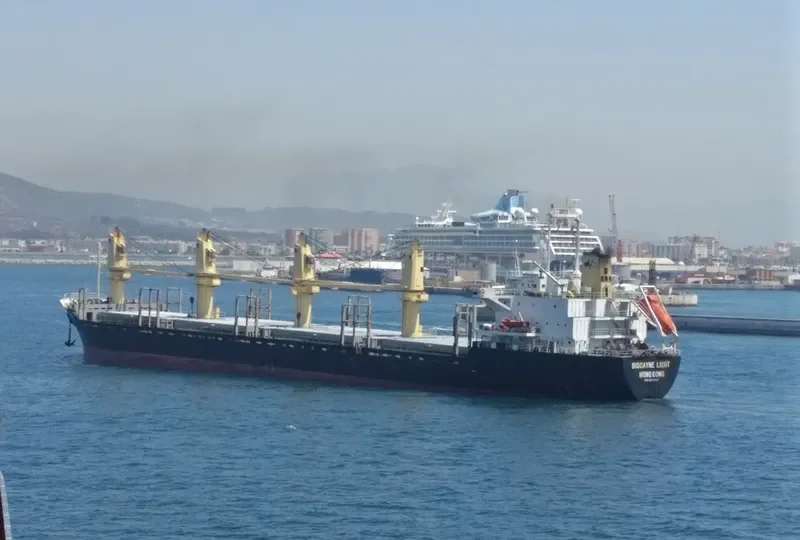 BISCAYNE LIGHT Bulk Carrier IMO 9141235 photo 4