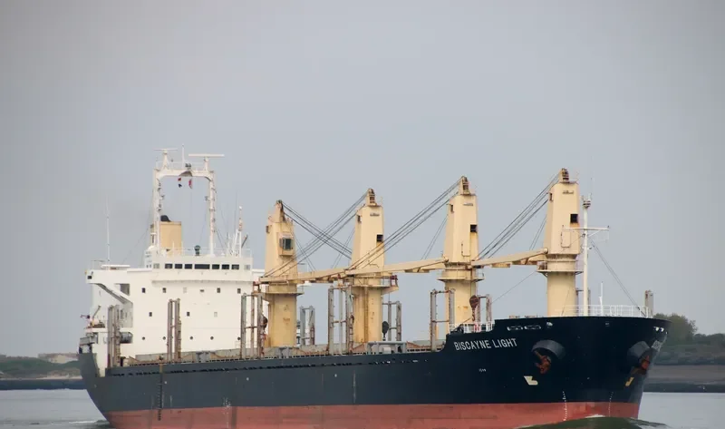 BISCAYNE LIGHT Bulk Carrier IMO 9141235 photo 7