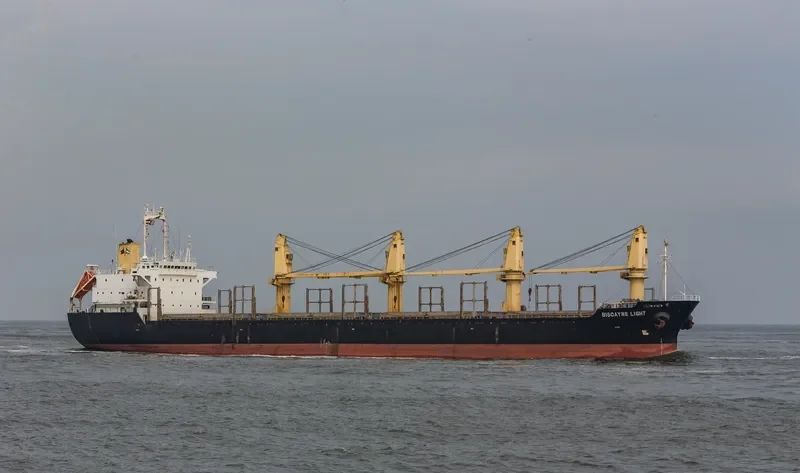 BISCAYNE LIGHT Bulk Carrier IMO 9141235 photo 8