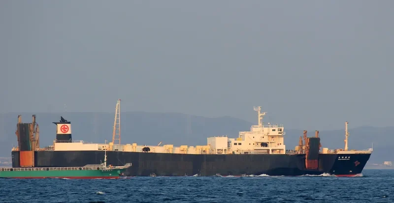 SEJU SHINKWANG Ro-Ro IMO 9141247 photo 2