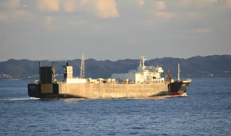 SEJU SHINKWANG Ro-Ro IMO 9141247 photo 4