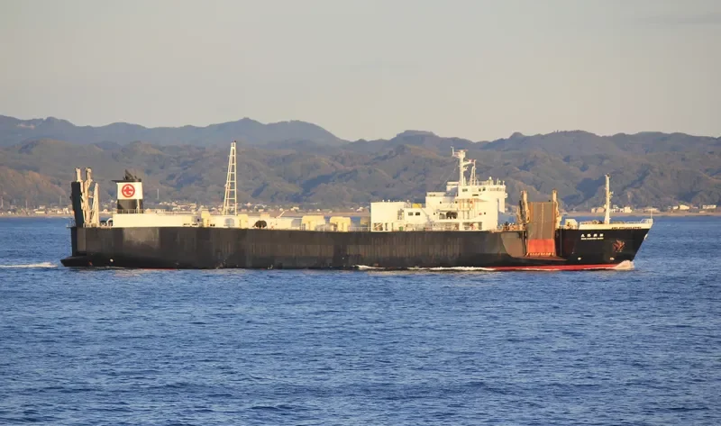 SEJU SHINKWANG Ro-Ro IMO 9141247 photo 5