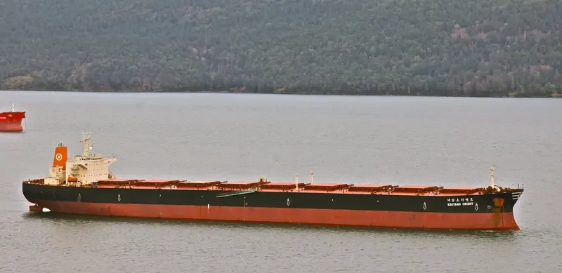 KEOYANG ORIENT Bulk Carrier IMO 9141326 photo 5