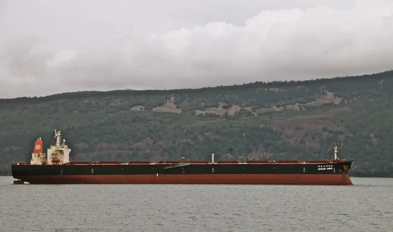 KEOYANG ORIENT Bulk Carrier IMO 9141326 photo 6
