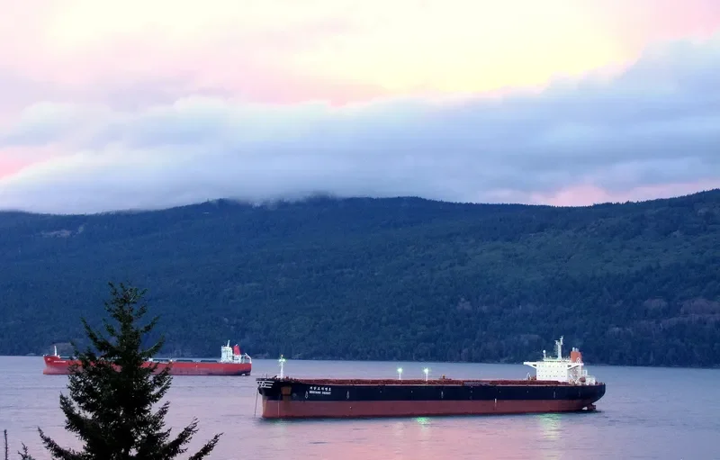 KEOYANG ORIENT Bulk Carrier IMO 9141326 photo 8