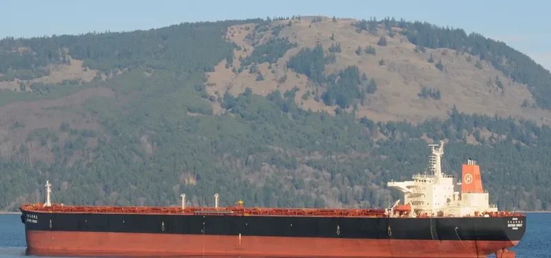 KEOYANG ORIENT Bulk Carrier IMO 9141326 photo 10