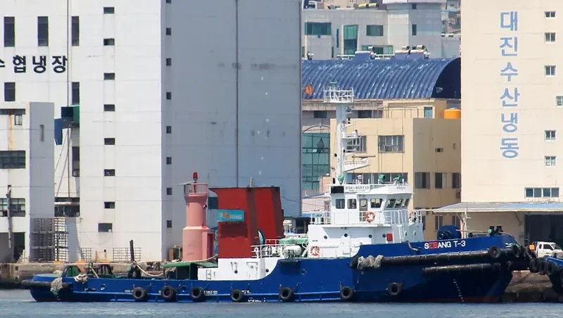 305CHOYANG General Cargo IMO 9141479 photo 4