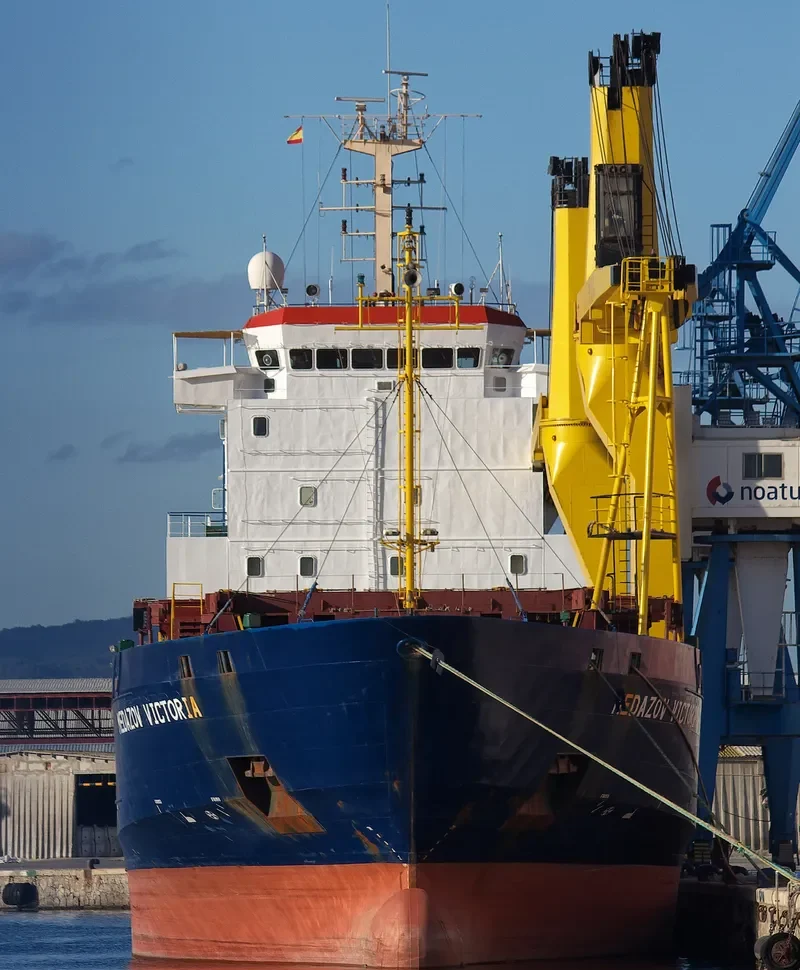 MEDAZOV VICTORIA General Cargo IMO 9141728 photo 3