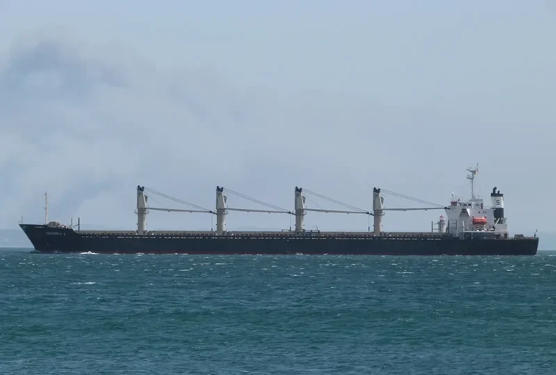 RELIANCE Bulk Carrier IMO 9141998 photo 3