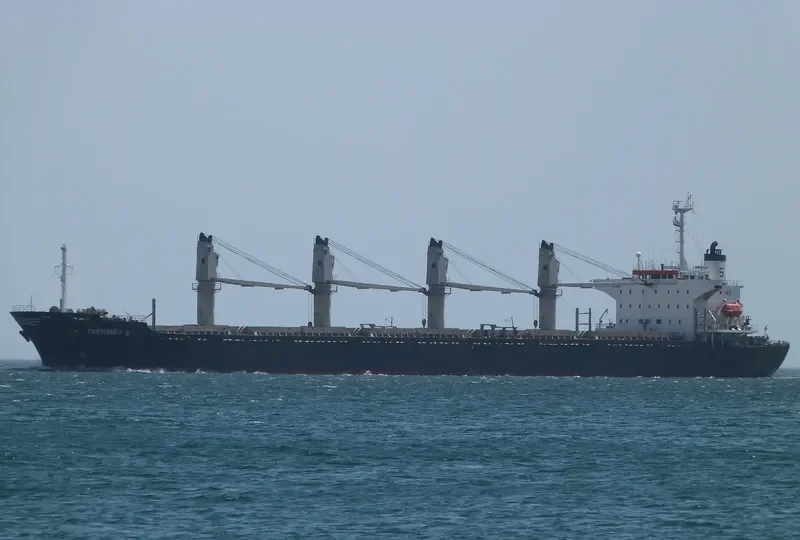 RELIANCE Bulk Carrier IMO 9141998 photo 4
