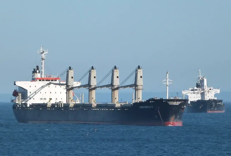 RELIANCE Bulk Carrier IMO 9141998 photo 5