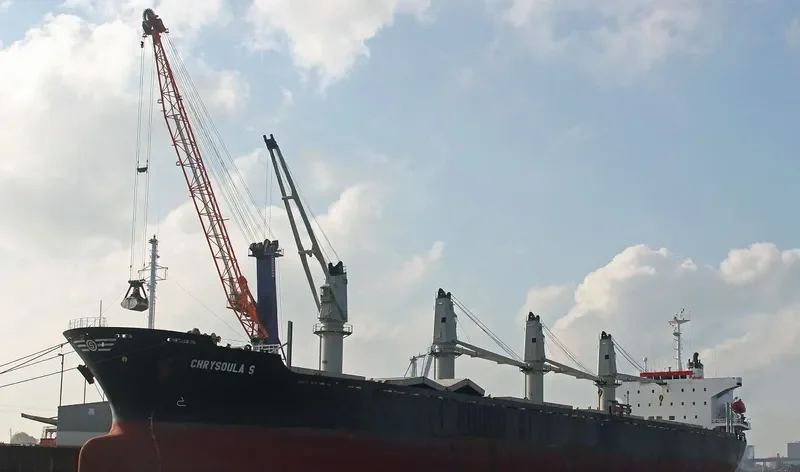 RELIANCE Bulk Carrier IMO 9141998 photo 7