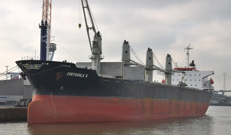 RELIANCE Bulk Carrier IMO 9141998 photo 8