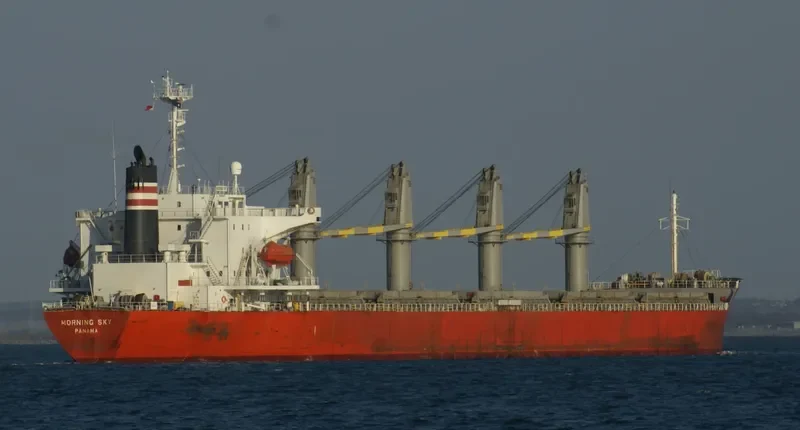 XIN LU BAO SHI Bulk Carrier IMO 9142007 photo 2