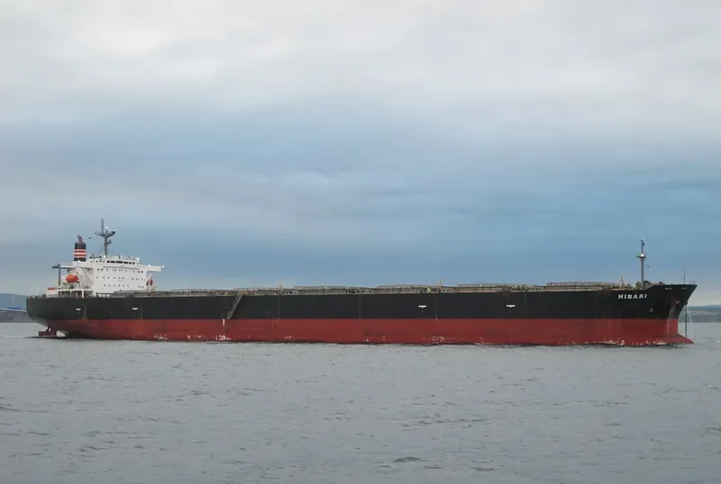 HIBARI Bulk Carrier IMO 9142203 photo 3