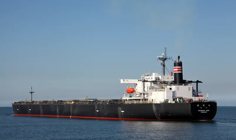 HIBARI Bulk Carrier IMO 9142203 photo 7