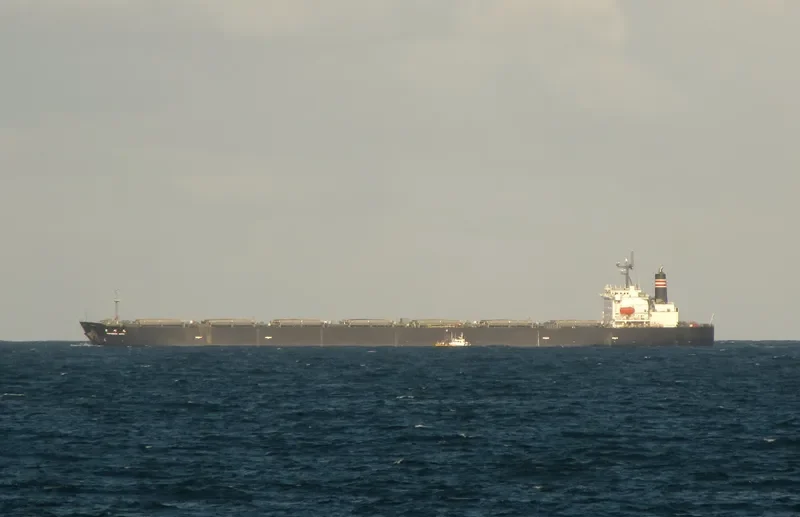 HIBARI Bulk Carrier IMO 9142203 photo 9