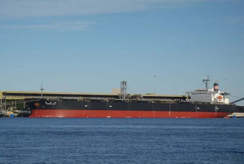 HIBARI Bulk Carrier IMO 9142203 photo 10