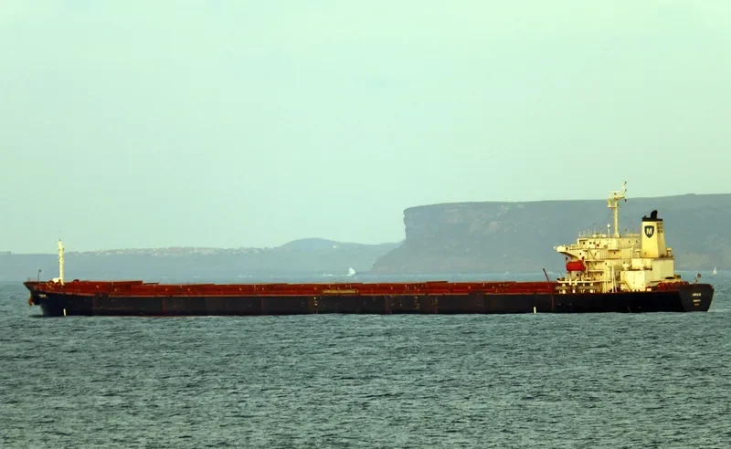 XING BAO Bulk Carrier IMO 9142978 photo 3