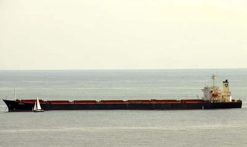 XING BAO Bulk Carrier IMO 9142978 photo 4