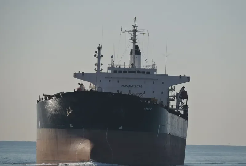 XING BAO Bulk Carrier IMO 9142978 photo 6