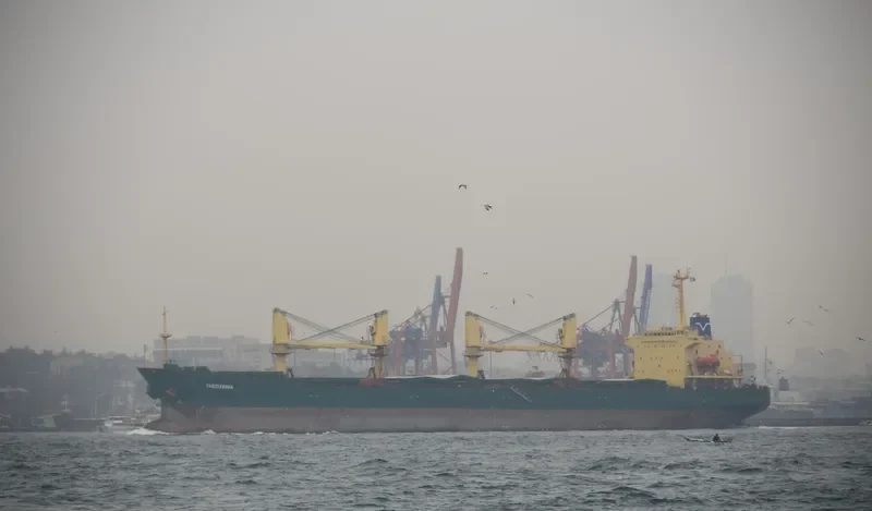 THEOXENIA Bulk Carrier IMO 9142980 photo 6