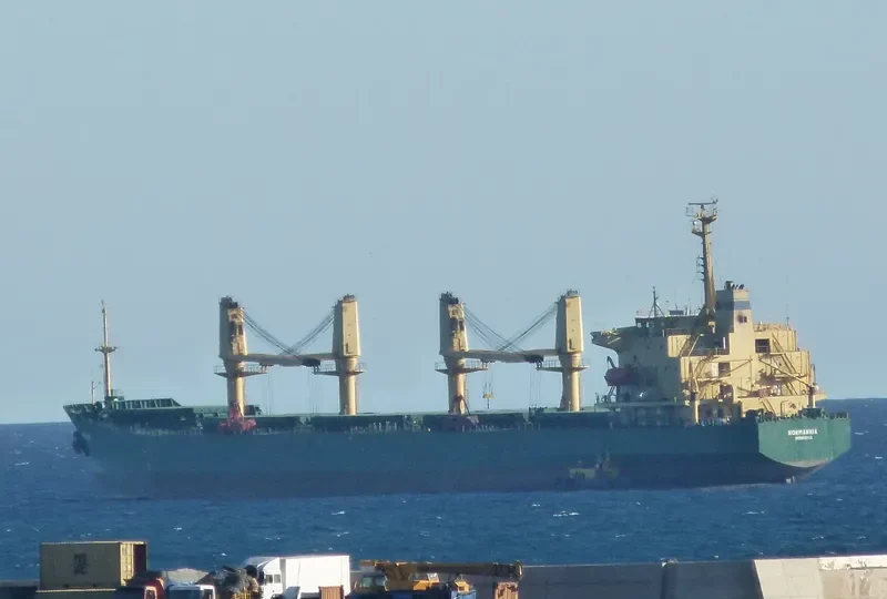 THEOXENIA Bulk Carrier IMO 9142980 photo 10