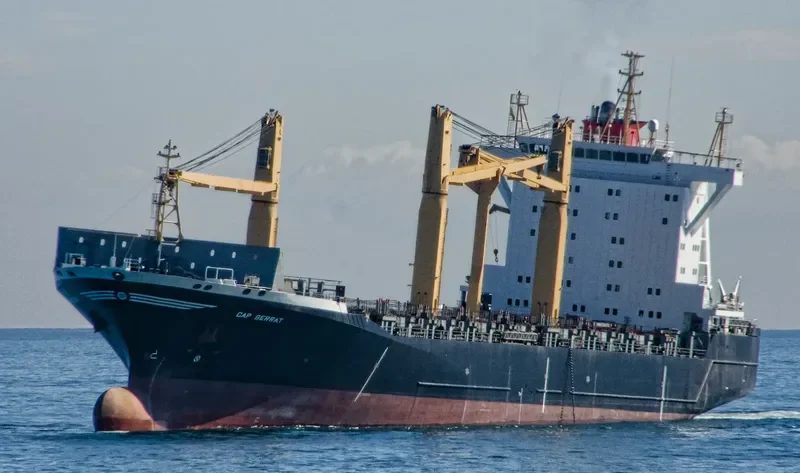 COLUMBA Container Ship IMO 9143233 photo 6