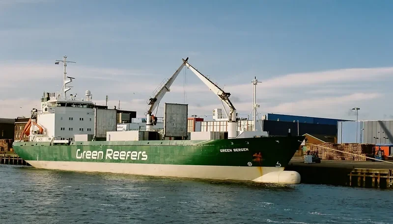 SILVER STORM General Cargo IMO 9143374 photo 2