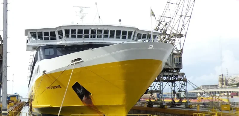 FIOR DI LEVANTE Passenger Ship IMO 9143491 photo 6