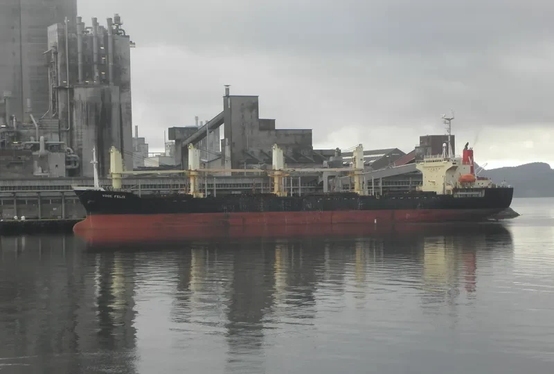 LUCKY PIONEER Bulk Carrier IMO 9143714 photo 9