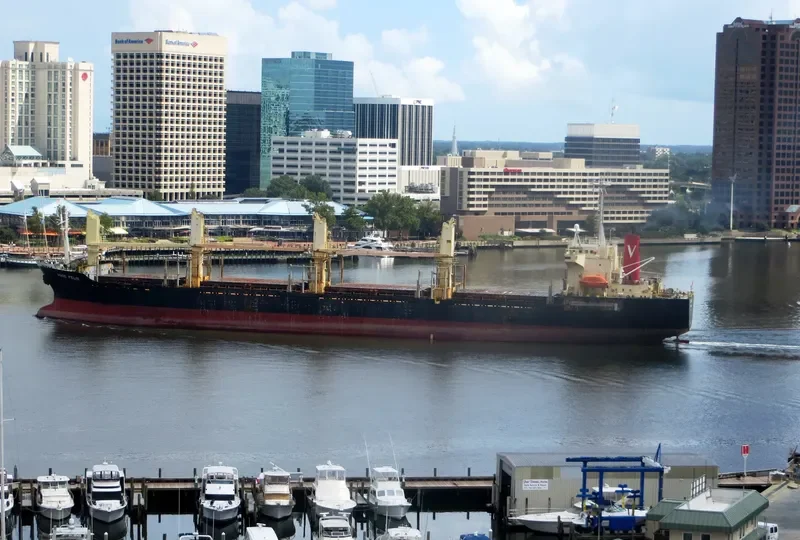 LUCKY PIONEER Bulk Carrier IMO 9143714 photo 10