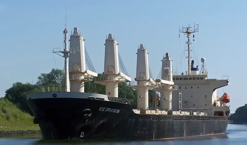 DRAGON Bulk Carrier IMO 9143726