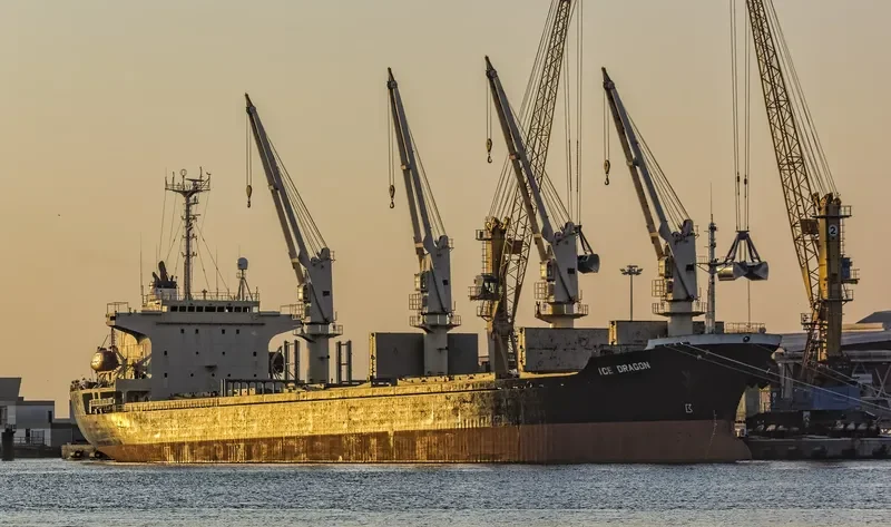 DRAGON Bulk Carrier IMO 9143726 photo 3