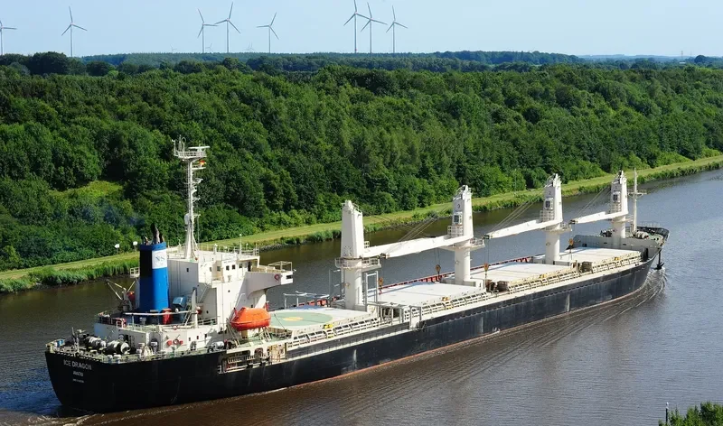 DRAGON Bulk Carrier IMO 9143726 photo 7