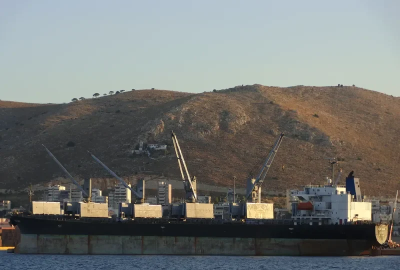 U GLORY Bulk Carrier IMO 9144029 photo 6