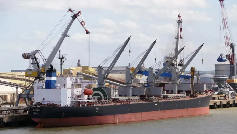 MLS GEMMA Bulk Carrier IMO 9144043 photo 5